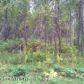 L15 B1 SIERRA MESA Circle, Chugiak, AK 99567 ID:2706522