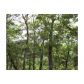 44 Deer Run Dr, Eureka Springs, AR 72631 ID:1168276