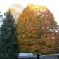 647 Polk Street, Marietta, GA 30064 ID:2682840