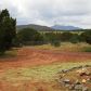 1435 E Ontario Ave, Williams, AZ 86046 ID:1134329