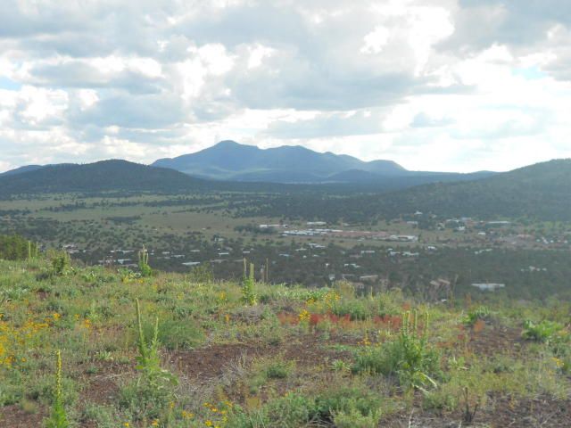 1529 E Sagebrush St, Williams, AZ 86046