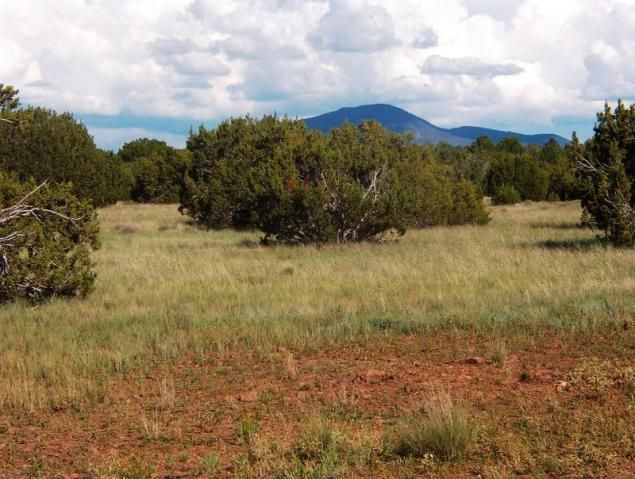 1311 E Utopia Trail, Williams, AZ 86046