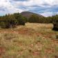 1311 E Utopia Trail, Williams, AZ 86046 ID:1134355