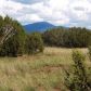 1311 E Utopia Trail, Williams, AZ 86046 ID:1134357