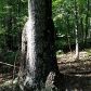 1798 Knox Bridge Highway, White, GA 30184 ID:2681031