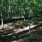 1798 Knox Bridge Highway, White, GA 30184 ID:2681032