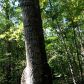 1798 Knox Bridge Highway, White, GA 30184 ID:2681033