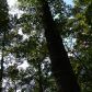 1798 Knox Bridge Highway, White, GA 30184 ID:2681034