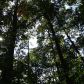 1798 Knox Bridge Highway, White, GA 30184 ID:2681035