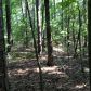 1798 Knox Bridge Highway, White, GA 30184 ID:2681036