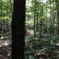 1798 Knox Bridge Highway, White, GA 30184 ID:2681039
