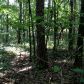 1798 Knox Bridge Highway, White, GA 30184 ID:2681040