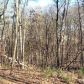 0 Sadie Court, Dawsonville, GA 30534 ID:3364012