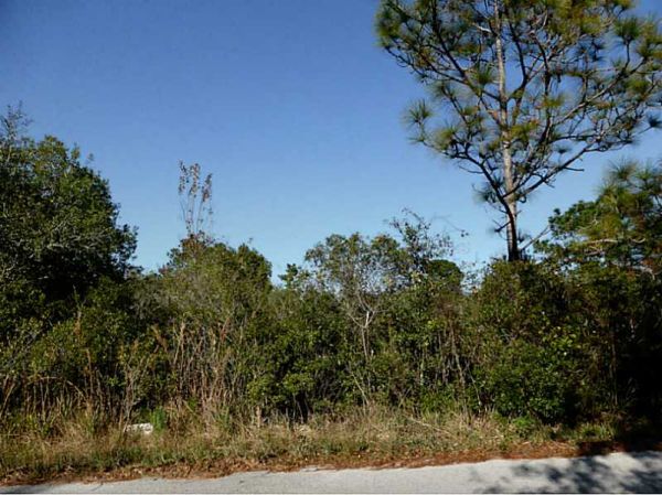 0 Pheasant Run, Wesley Chapel, FL 33544