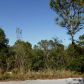 0 Pheasant Run, Wesley Chapel, FL 33544 ID:5415441