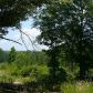 0 New Cut White Bottoms Road, Braselton, GA 30517 ID:5206530