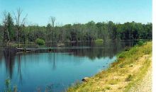 Lot 42 Paradise River Resort Judsonia, AR 72081