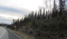 713 Cahill Lane Soldotna, AK 99669