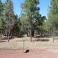 2560 Mescalero, Show Low, AZ 85901 ID:1314656