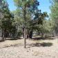2560 Mescalero, Show Low, AZ 85901 ID:1314660