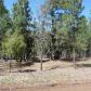 2560 Mescalero, Show Low, AZ 85901 ID:1314662