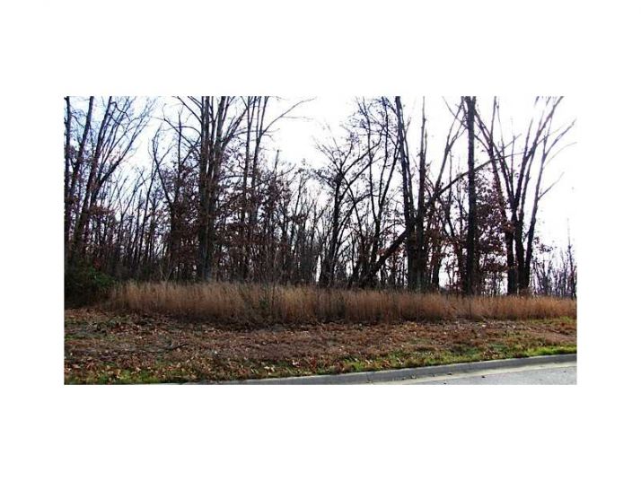 1410 LE CHESNAY DR, Centerton, AR 72719