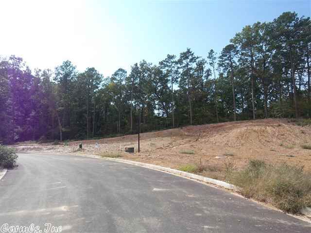 Lot 27 North Shores, Benton, AR 72019