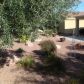 23006 N GIOVOTA Drive, Sun City West, AZ 85375 ID:3483361