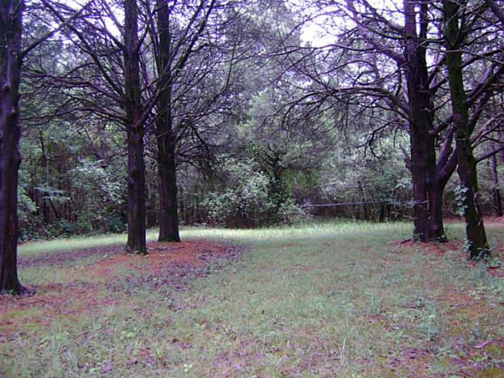 0 Bond Road, Aragon, GA 30104