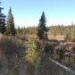 69231 Tanners Trail Road, Anchor Point, AK 99556 ID:1109485