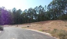 Lot 10 North Shores Benton, AR 72019