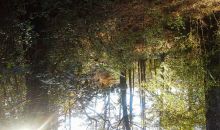 545 Collett Drive Lot 1 Wood Duck Landing Canton, GA 30115