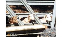 70 Giles Road Winder, GA 30680