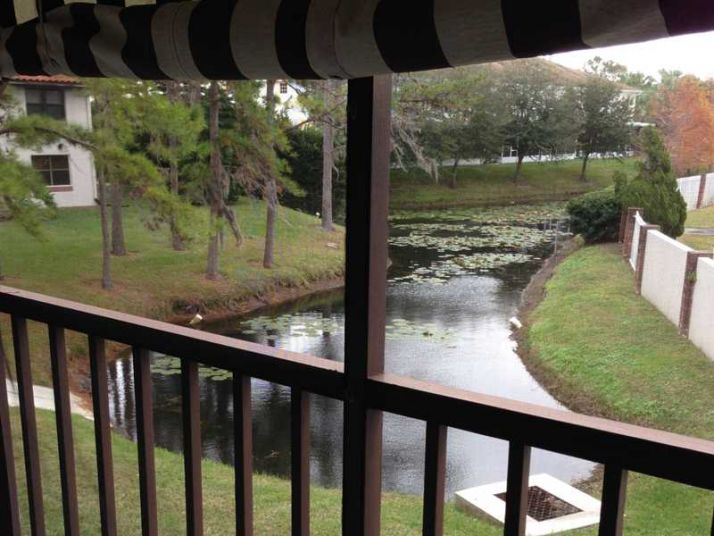 2971 ESTANCIA BLVD #225, Clearwater, FL 33761