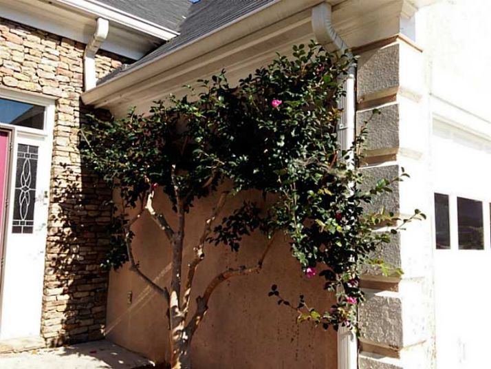 430 Shelli Lane, Roswell, GA 30075