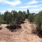 100 S. Palomino, Payson, AZ 85541 ID:1931549