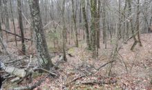 39 Acres Hwy 163 Harrisburg, AR 72432