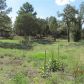 280 N 5th Drive, Show Low, AZ 85901 ID:1314652