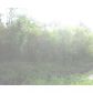 Bonfouca Dr 6, Slidell, LA 70458 ID:5369975