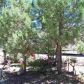 3921 horseshoe Loop, Show Low, AZ 85901 ID:1321794