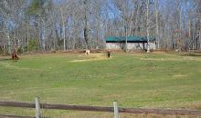 545 Worley Road Ball Ground, GA 30107