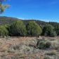 Lot 103 S. Palomino Place, Payson, AZ 85541 ID:1931562