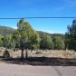 Lot 103 S. Palomino Place, Payson, AZ 85541 ID:1931565