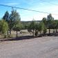 Lot 103 S. Palomino Place, Payson, AZ 85541 ID:1931566