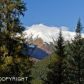 L8 Verbier Way, Girdwood, AK 99587 ID:5443734