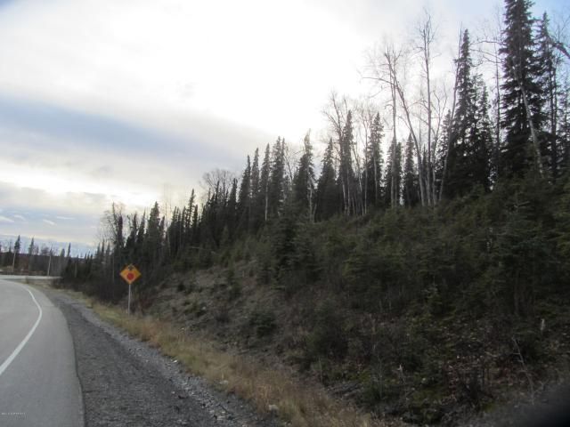 713 Cahill Lane, Soldotna, AK 99669