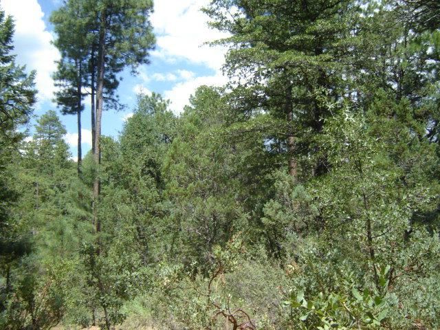 Lot 90 Tonto Creek Estates, Payson, AZ 85541