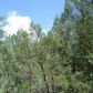 Lot 90 Tonto Creek Estates, Payson, AZ 85541 ID:1931730