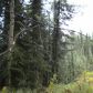 Tr 2-4 Funny River Road, Soldotna, AK 99669 ID:1081140