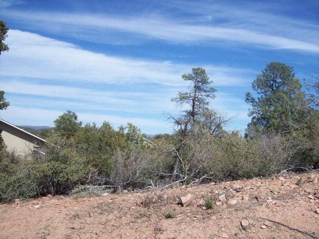305 S. Ryan Dr., Payson, AZ 85541